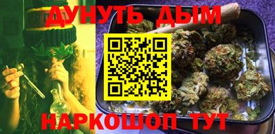 шишки Кингисепп