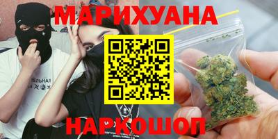 шишки Кингисепп