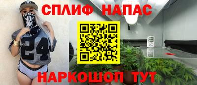 шишки Кингисепп