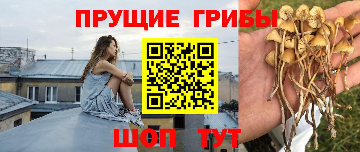 наркошоп  Псилоцибиновые грибы мицелий  Вход с VPN  Стрежевой 